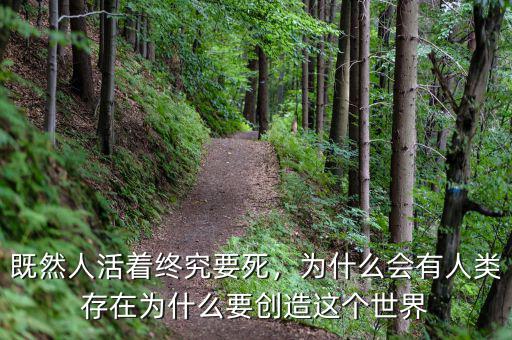 為什么要創造比特犬,為什么我們要創造藝術