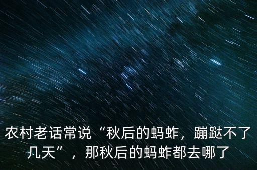 農村老話常說“秋后的螞蚱，蹦跶不了幾天”，那秋后的螞蚱都去哪了