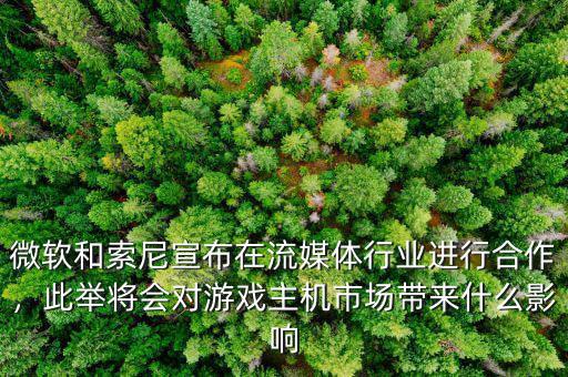微軟對整個行業意味著什么,對行業會有哪些影響