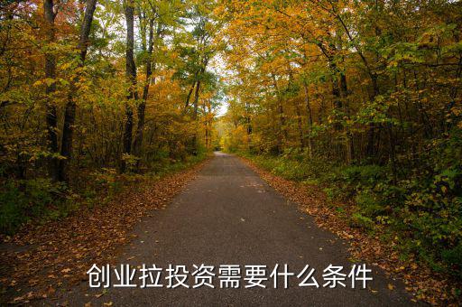 創業拉投資需要什么條件