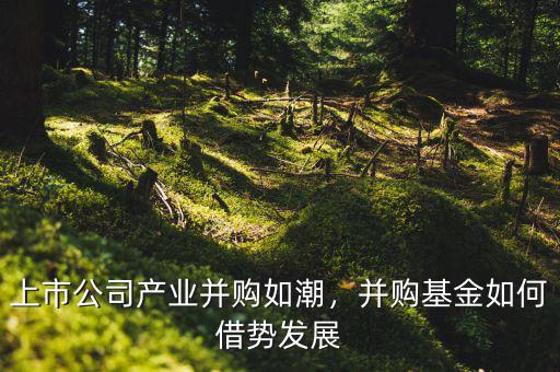上市公司產業并購如潮，并購基金如何借勢發展