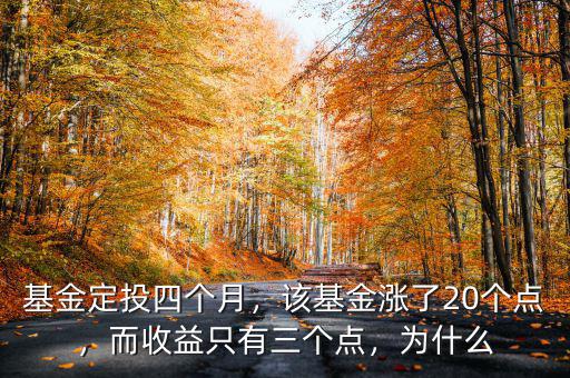 基金定投四個月，該基金漲了20個點，而收益只有三個點，為什么