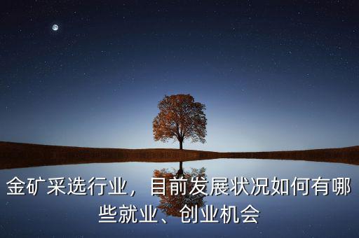 金礦行業怎么樣,金礦采選行業