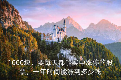 1000塊，要每天都能買中漲停的股票，一年時(shí)間能漲到多少錢