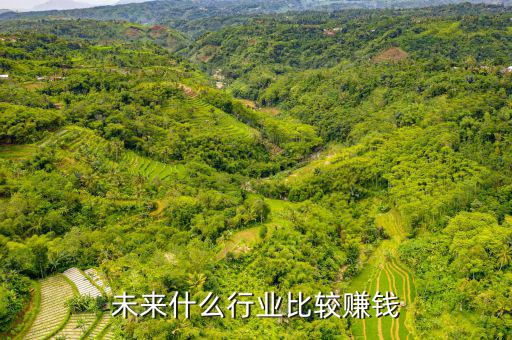 未來有什么致富的行業,未來什么行業比較賺錢