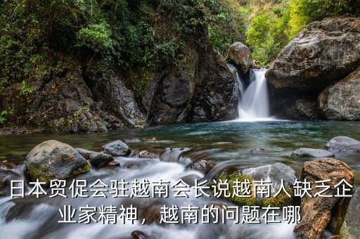 日本貿促會駐越南會長說越南人缺乏企業家精神，越南的問題在哪
