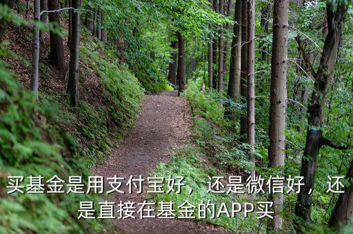 買基金是用支付寶好，還是微信好，還是直接在基金的APP買