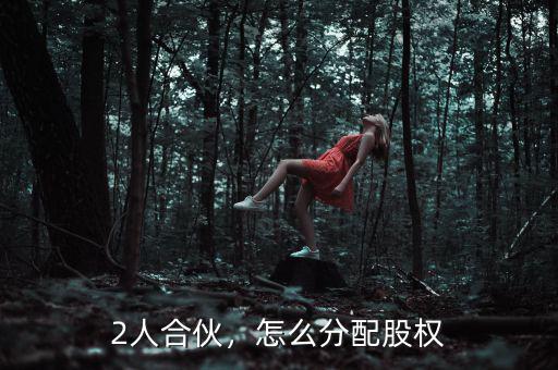 2人合伙，怎么分配股權(quán)