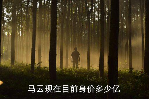 馬云現在目前身價多少億