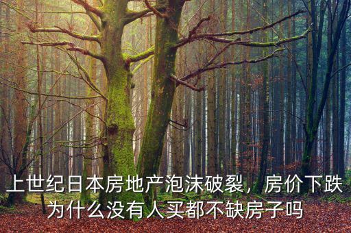 上世紀日本房地產泡沫破裂，房價下跌為什么沒有人買都不缺房子嗎