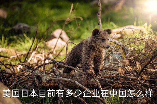 中國有多少企業,我國有多少呢