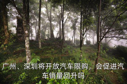 廣州、深圳將開放汽車限購，會促進汽車銷量回升嗎