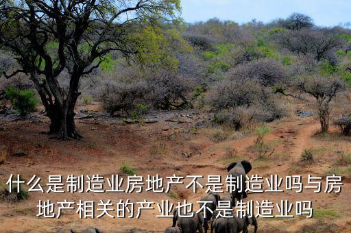 什么是其他制造業,什么是制造業