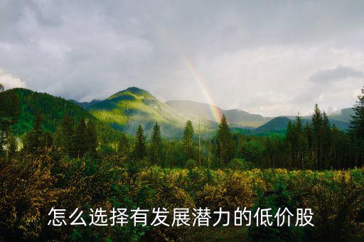 怎么選擇有發展潛力的低價股