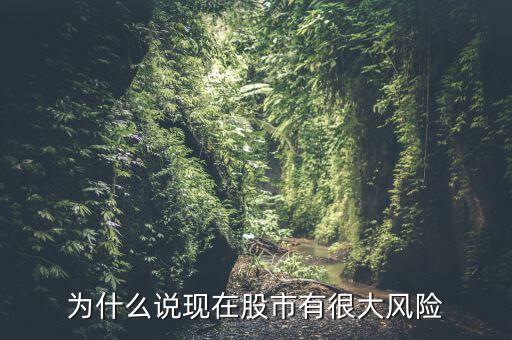 為什么說現在股市有很大風險