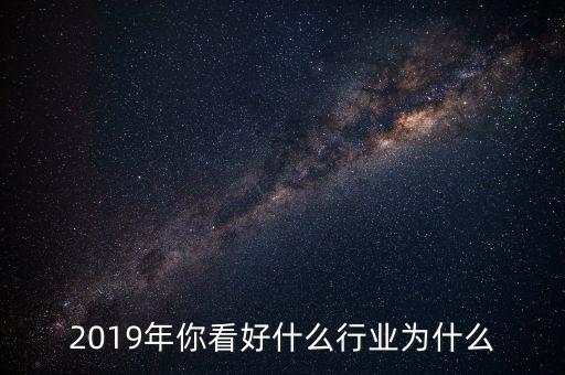 2019年你看好什么行業為什么