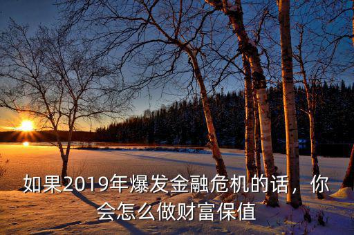 如果2019年爆發金融危機的話，你會怎么做財富保值