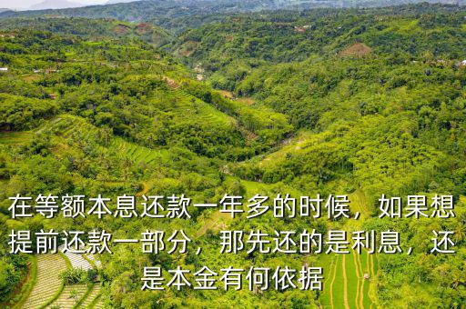 在等額本息還款一年多的時候，如果想提前還款一部分，那先還的是利息，還是本金有何依據