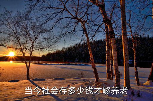 當今社會存多少錢才夠養老