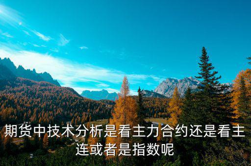 期貨中主力合約連續是什么意思,在國內商品期貨中