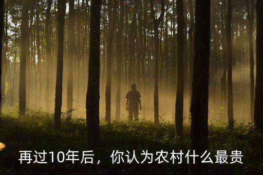 再過10年后，你認為農(nóng)村什么最貴