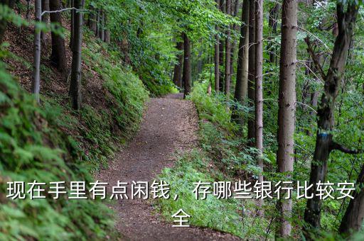 現在手里有點閑錢，存哪些銀行比較安全