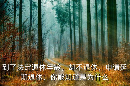 到了法定退休年齡，卻不退休，申請延期退休，你能知道是為什么