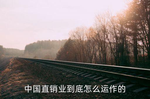 中國直銷業到底怎么運作的