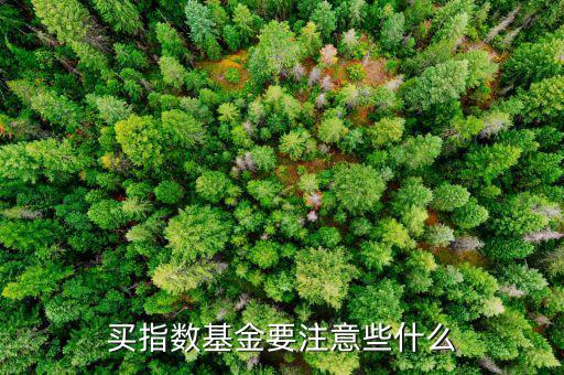 買指數基金要注意些什么