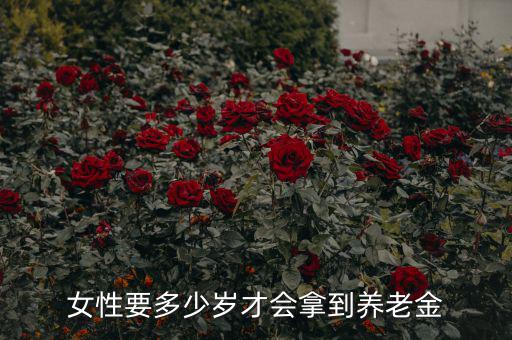 多少歲才可以領取養老保險,女性要多少歲才會拿到養老金