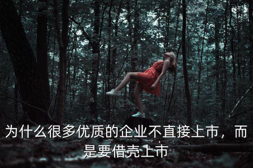 愷英網絡為什么借殼上市,什么叫借殼上市