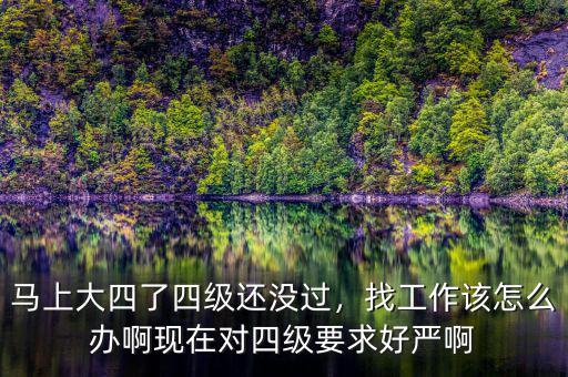 馬上大四了四級還沒過，找工作該怎么辦啊現在對四級要求好嚴啊