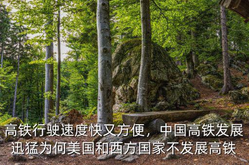 美國為什么不發展高鐵,為什么國外的高鐵發展不起來