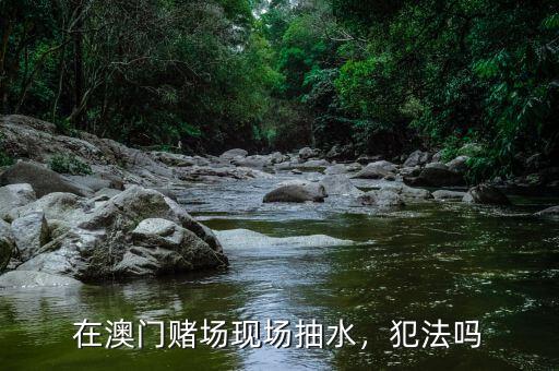 在澳門賭場現場抽水，犯法嗎