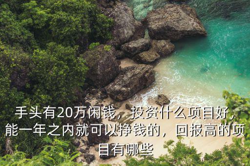 手頭有20萬閑錢，投資什么項目好，能一年之內就可以掙錢的，回報高的項目有哪些