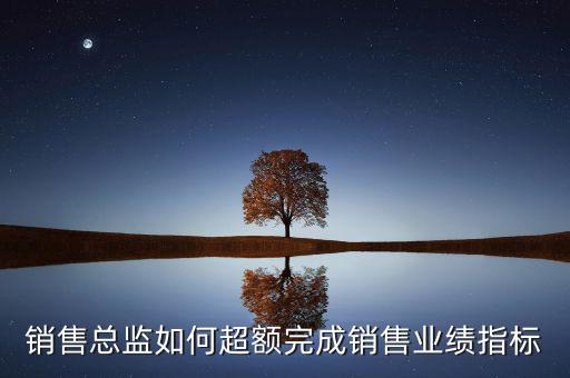 銷售總監如何超額完成銷售業績指標