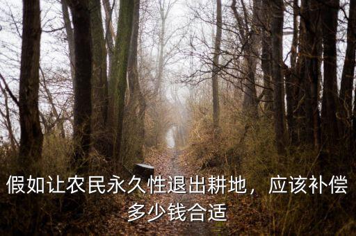 農民退出承包地給多少錢,應該補償多少錢合適