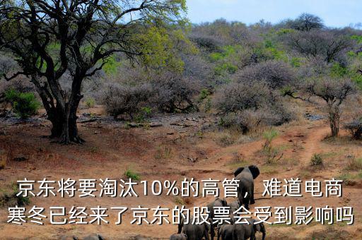 京東股票前景怎么樣,京東未來的發展走勢怎么樣