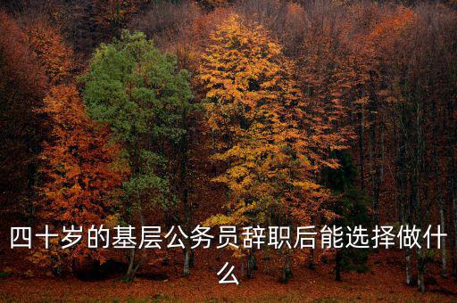 公務員下海做什么,現在又擠破頭考公務員