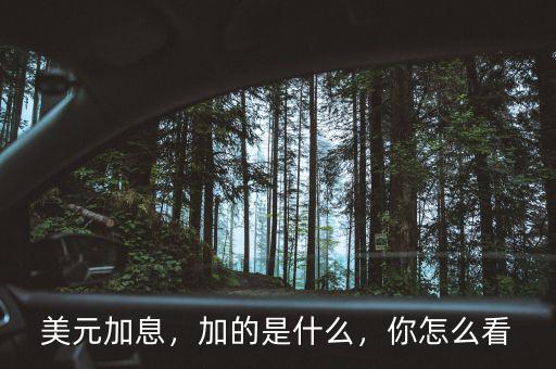 美元加息什么意思,美聯儲加息是什么意思