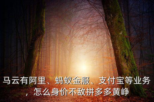 馬云有阿里、螞蟻金服、支付寶等業務，怎么身價不敵拼多多黃崢