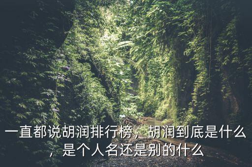 一直都說胡潤排行榜，胡潤到底是什么，是個人名還是別的什么