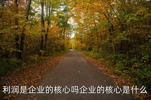 什么是核心利潤,利潤是企業的核心嗎