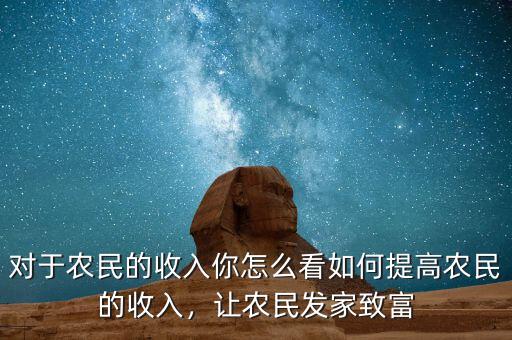 對于農民的收入你怎么看如何提高農民的收入，讓農民發家致富