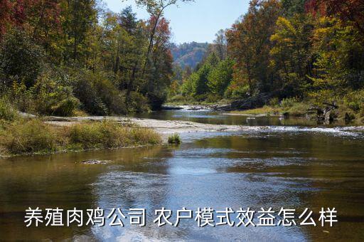 養殖肉雞公司 農戶模式效益怎么樣