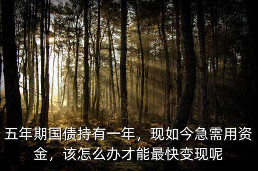五年期國債持有一年，現如今急需用資金，該怎么辦才能最快變現呢