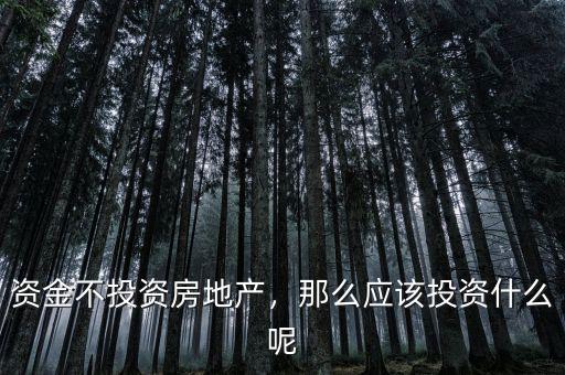 資金不投資房地產，那么應該投資什么呢