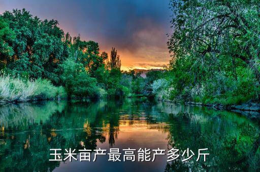 日本玉米最高畝產是多少,一晌地玉米出多少玉米壤子