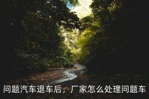 汽車三包退車關于稅費怎么退,問題汽車退車后