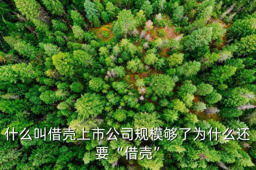 什么叫借殼上市公司規模夠了為什么還要“借殼”
